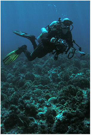 Jesper Rosenberg diving